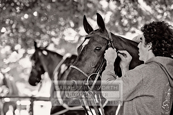 Cirencester Polo CF3 176 bw
