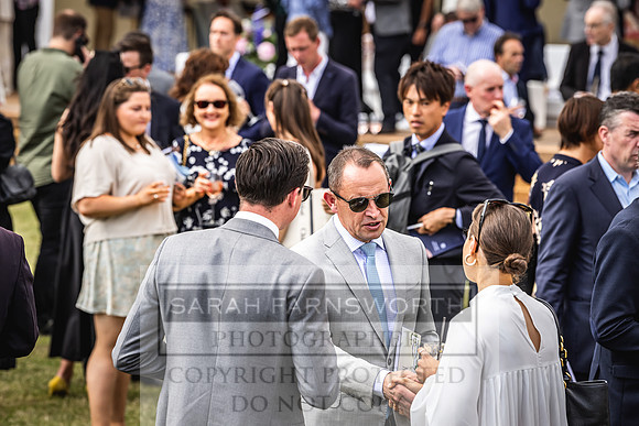 Goffs London Sale 2022-301