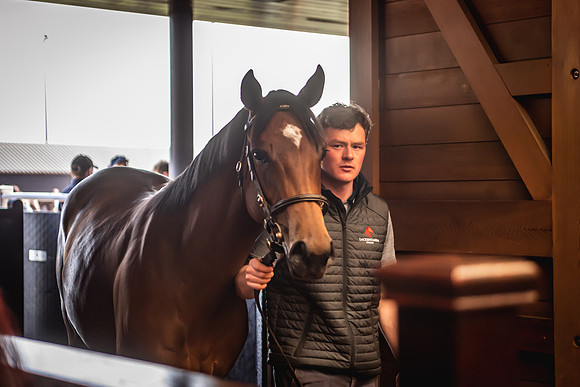 Goffs UK Breeze Up 2022-245
