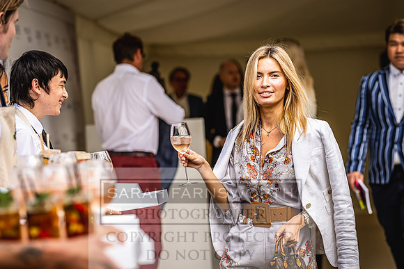 Goffs London Sale 2022-112