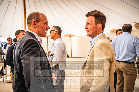 Goffs London Sale 2022-376