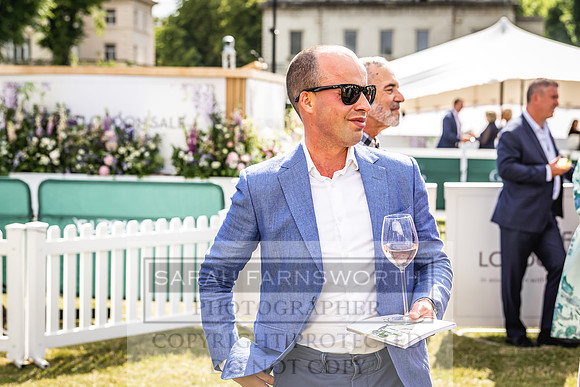 Goffs London Sale 2022-356