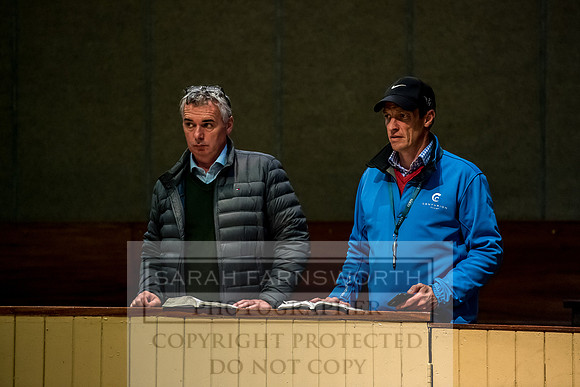 Goffs Orby 2017-237