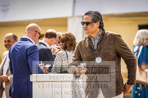 Goffs London Sale 2022-219