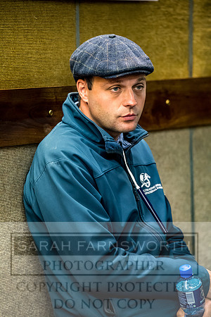 Goffs Orby 2017-174