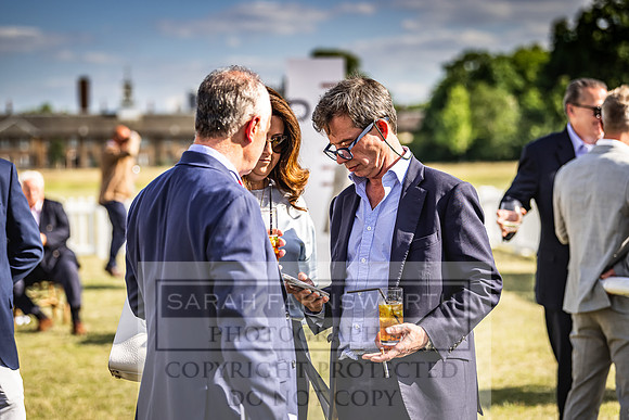 Goffs London Sale 2022-482