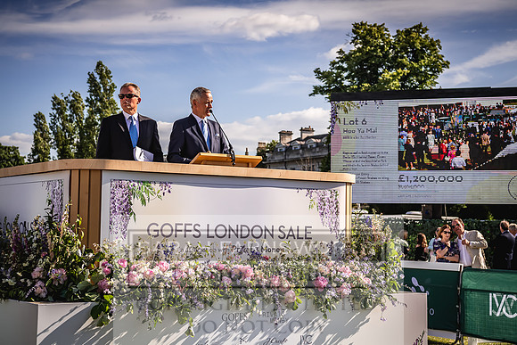 Goffs London Sale 2022-515