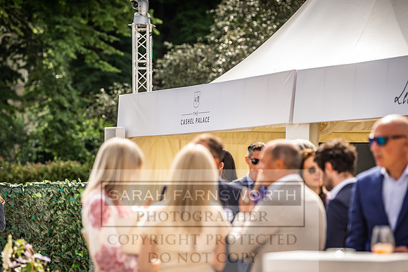 Goffs London Sale 2022-216