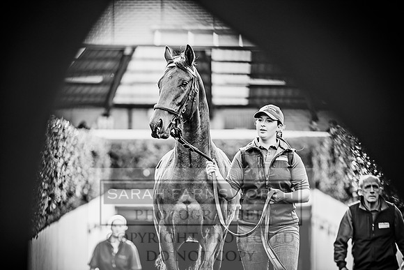 Goffs Orby 2017-160