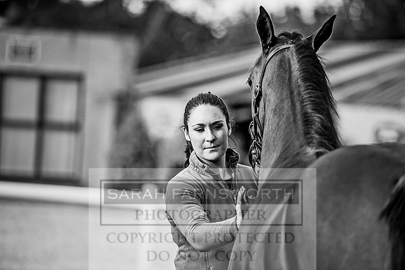 Goffs Orby 2017-113