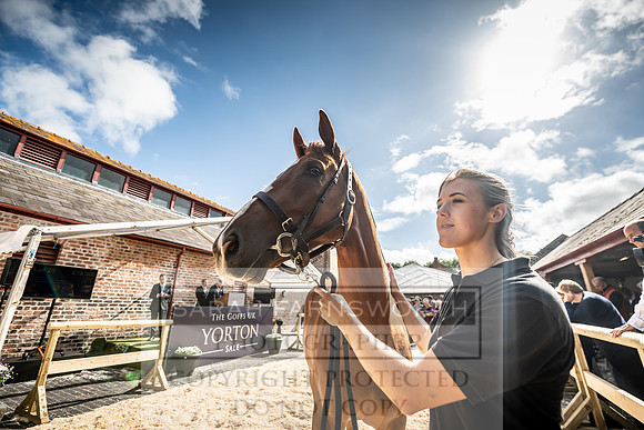 GUK Yorton Sale 2019-377