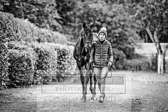 Goffs Orby 2017-558