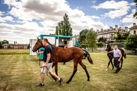 Goffs London Sale 2022-6