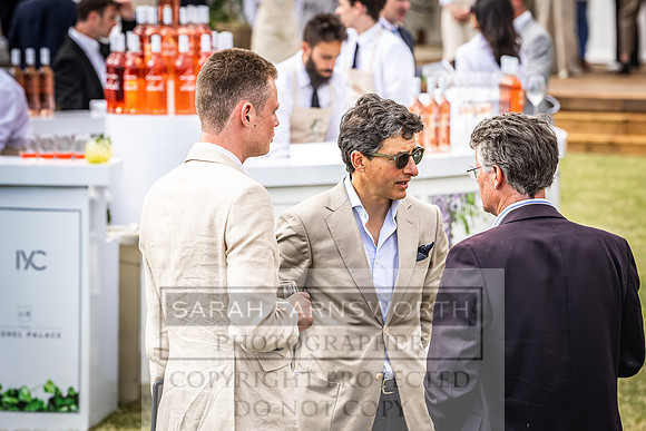 Goffs London Sale 2022-313