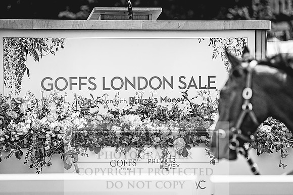 Goffs London Sale 2022-38