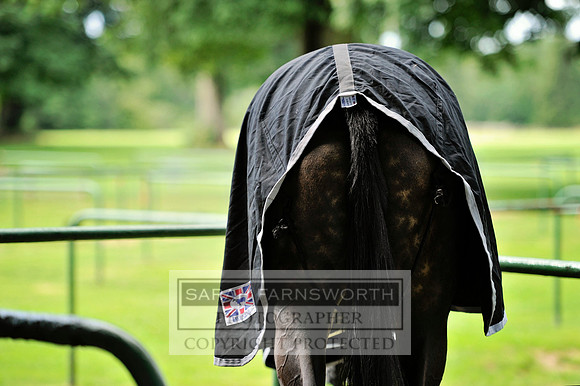 Cirencester Polo CF2 242