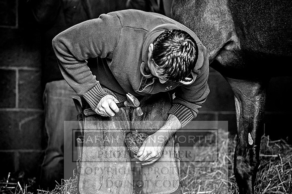Goffs Orby 2017-609