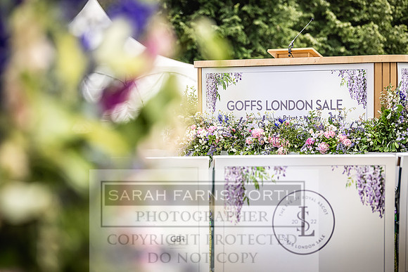 Goffs London Sale 2022-47