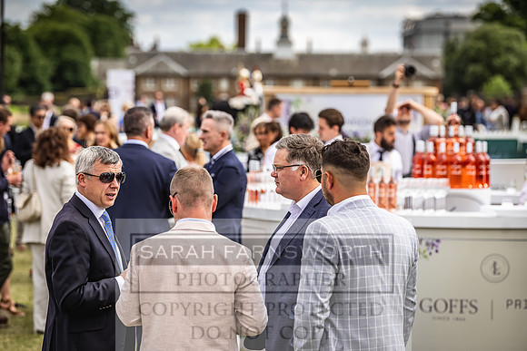 Goffs London Sale 2022-237