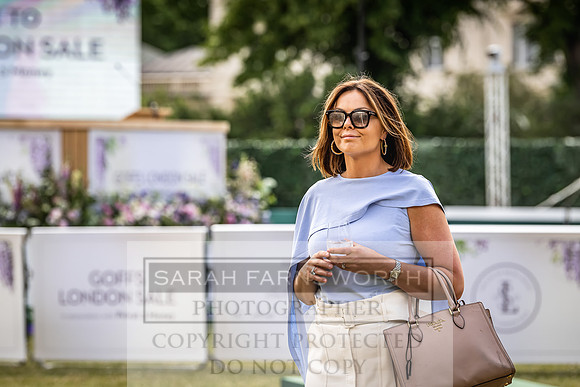 Goffs London Sale 2022-106