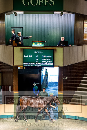 Goffs Orby 2017-168