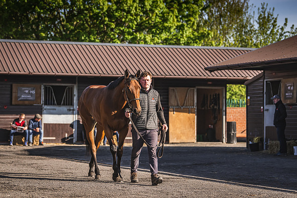 Goffs UK Breeze Up 2022-24