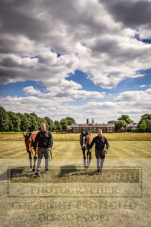 Goffs London Sale 2022-93