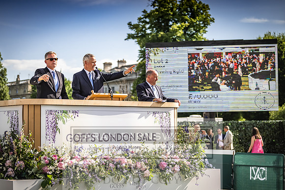 Goffs London Sale 2022-467