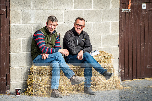 Goffs Orby 2017-193