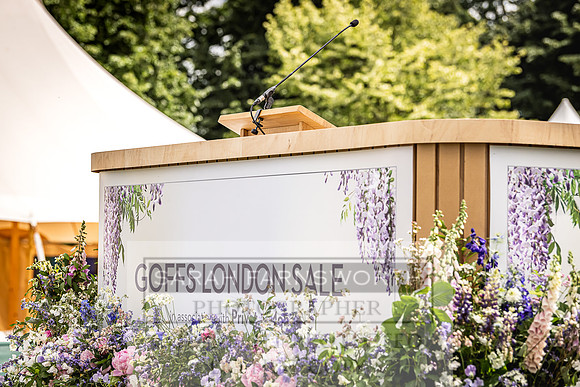 Goffs London Sale 2022-28