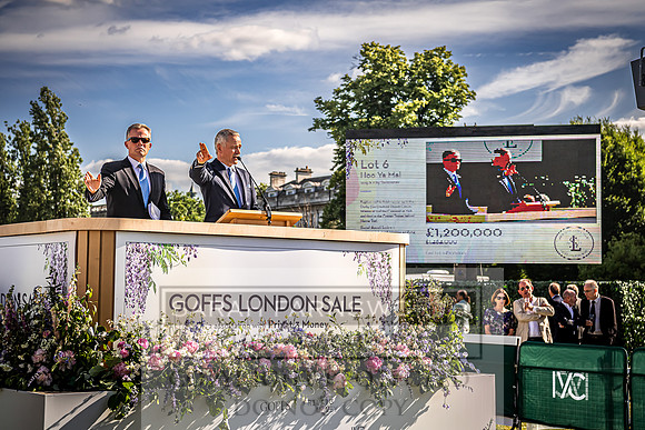 Goffs London Sale 2022-516