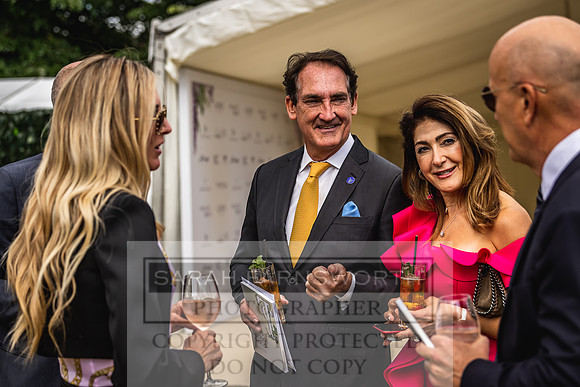 Goffs London Sale 2022-247