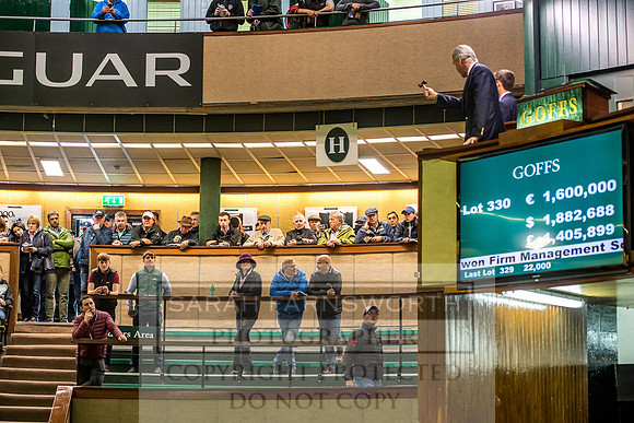 Goffs Orby 2017-689