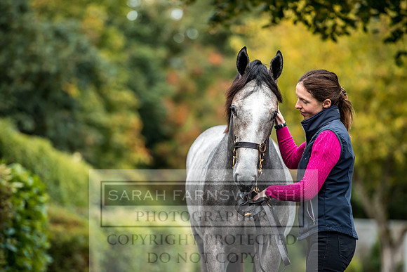 Goffs Orby 2017-16