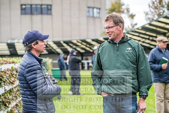 Goffs Orby 2017-648