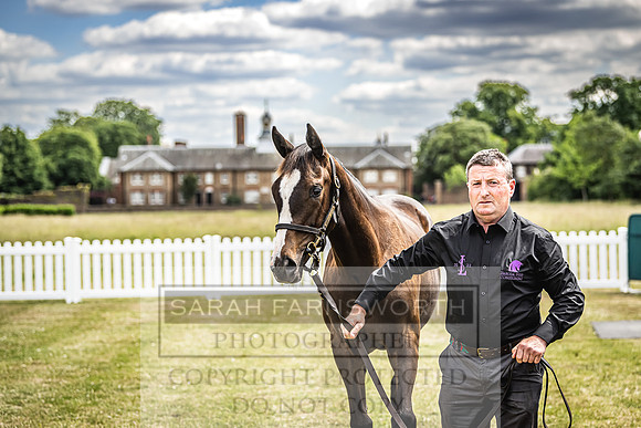 Goffs London Sale 2022-55