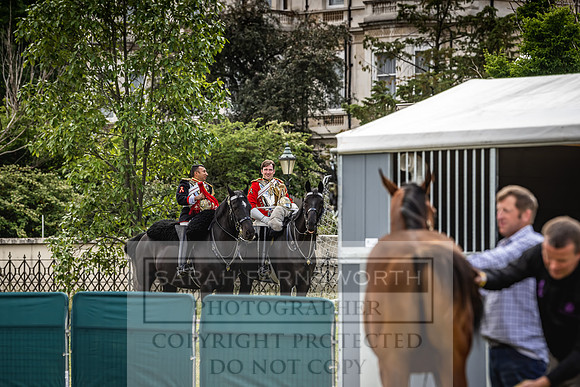 Goffs London Sale 2022-60