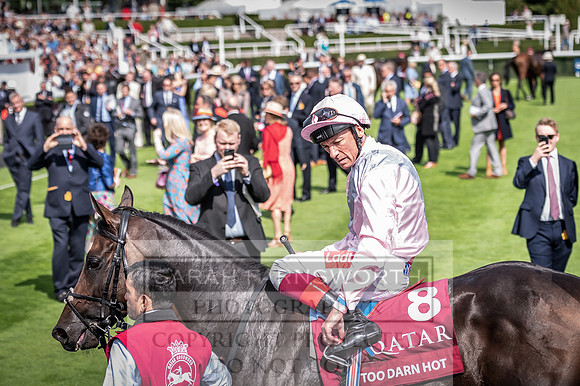 GUK Goodwood Sale 2019-8