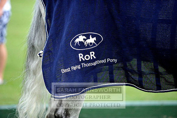 Cirencester Polo CF3 1695