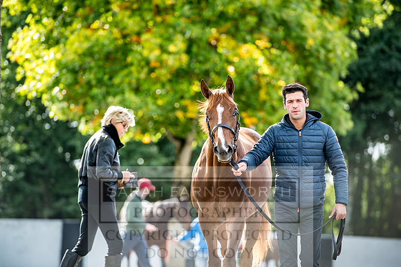 Goffs Orby 2017-259