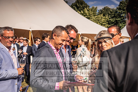 Goffs London Sale 2022-514