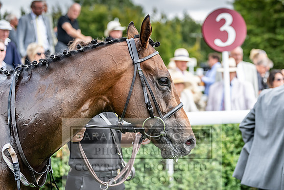GUK Goodwood Sale 2019-118