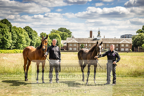 Goffs London Sale 2022-94