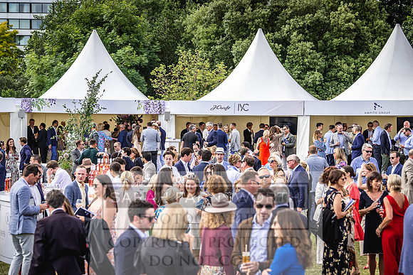 Goffs London Sale 2022-413
