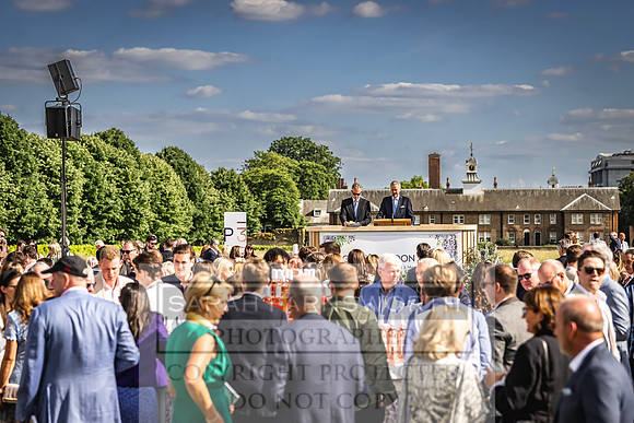 Goffs London Sale 2022-442
