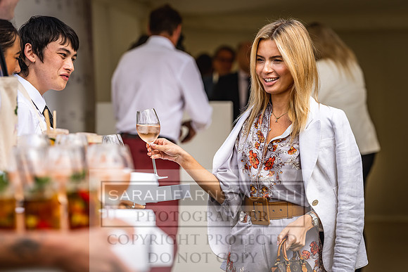 Goffs London Sale 2022-111