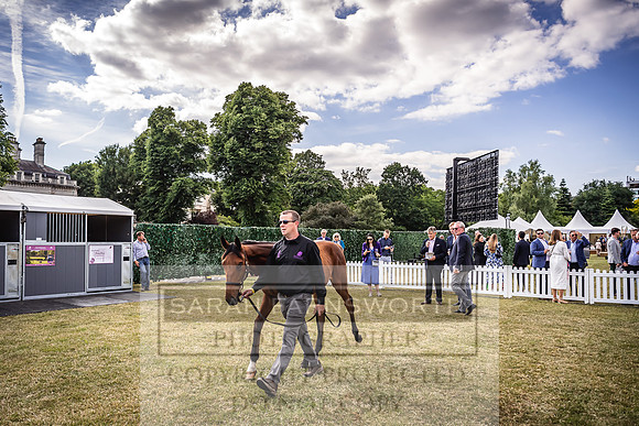 Goffs London Sale 2022-400