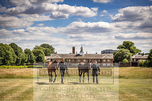 Goffs London Sale 2022-91