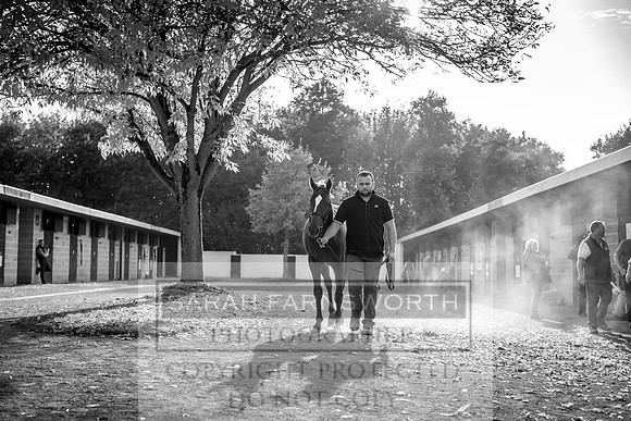Goffs Orby 2017-314