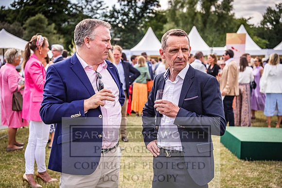 Goffs London Sale 2022-393